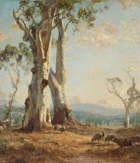 Morning Light, Hans Heysen